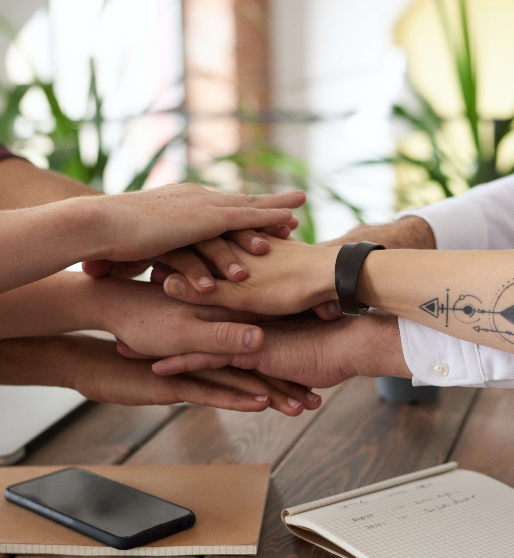 команда Оазис Комфорт