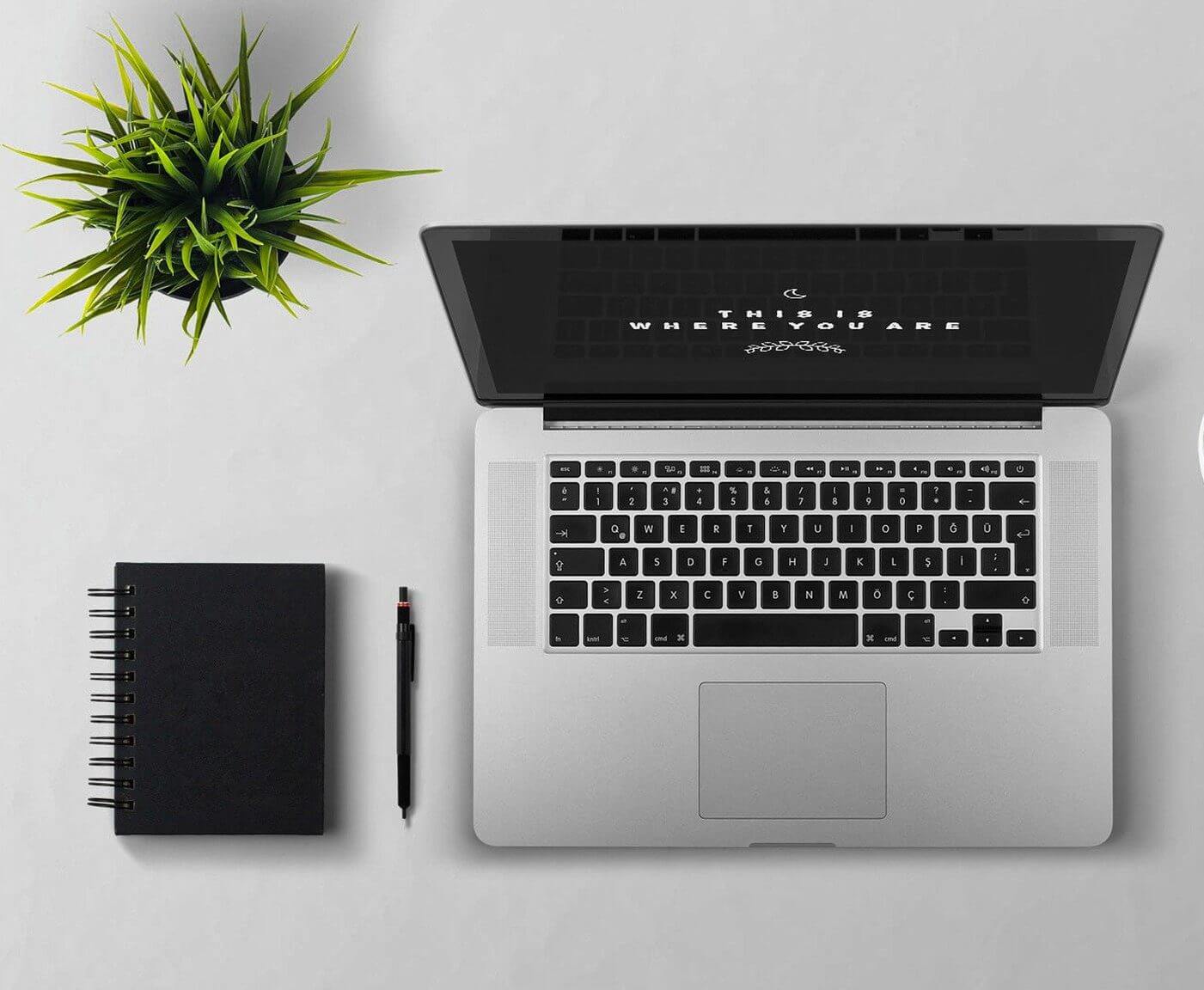 Оазис Комфорт контакти